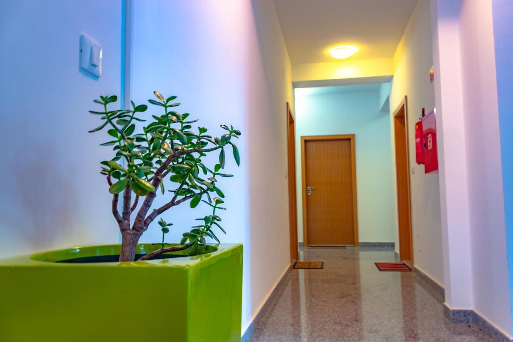 Apartment Botic Poreč Eksteriør bilde